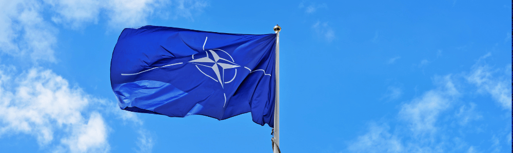 Priset för Nato-medlemskapet