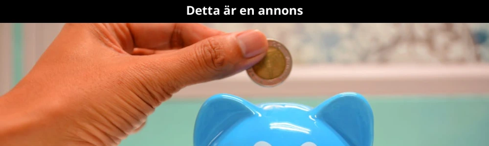 5 begrepp den smarta spararen måste känna till – och ett supertips