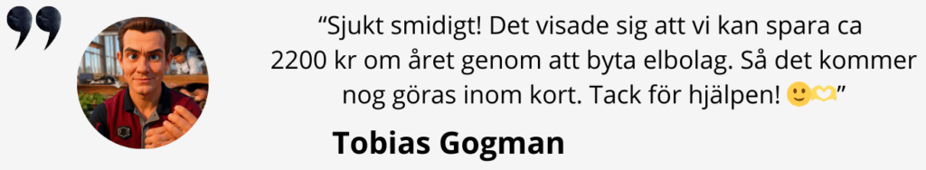 Omdöme Tobias Gogman
